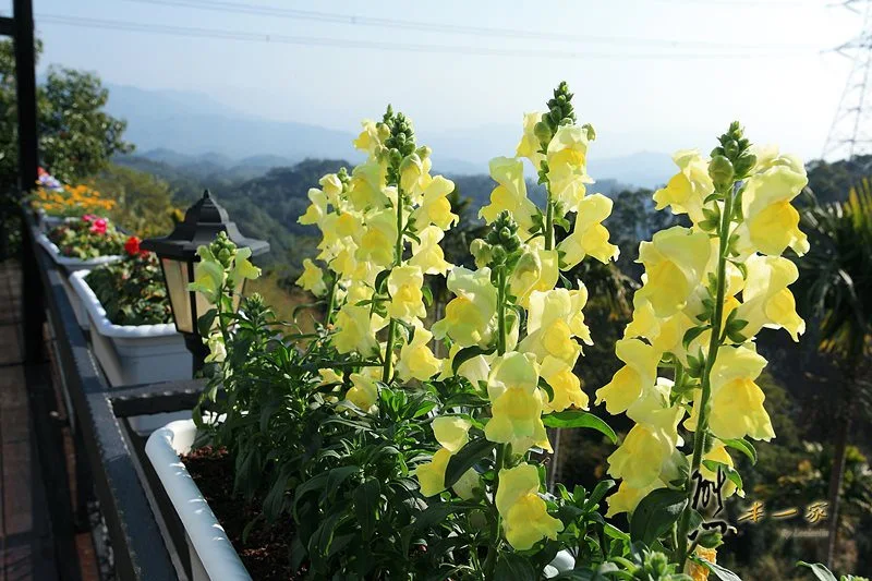 悠然森活民宿咖啡輕食