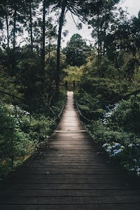 Black hanging bridge