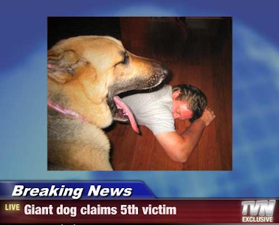 Funny Breaking News