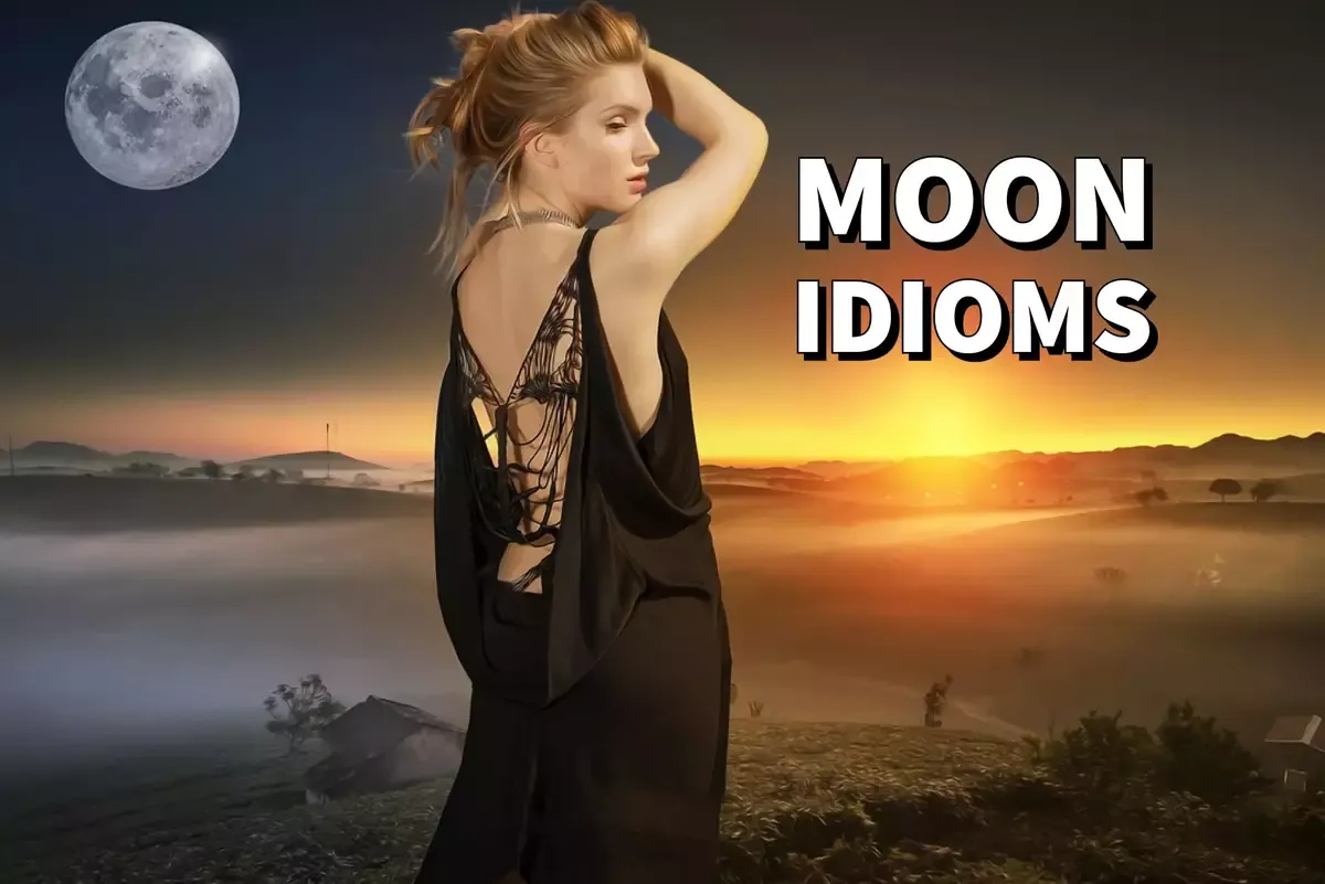 Moon idioms phrases
