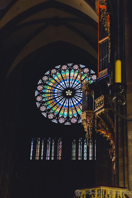 Cathédrale Notre Dame de Strasbourg's rose window and pipe organ