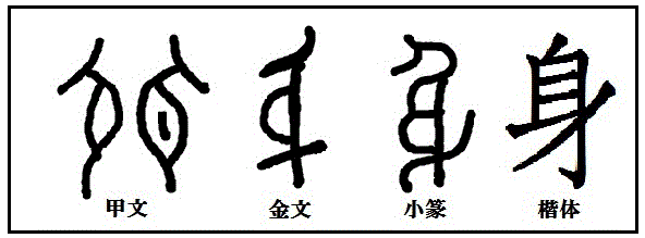 漢字考古学の道 漢字の由来と成り立ちから人間社会の歴史を遡る 漢字 身 起源と由来 身ごもった状態を表す象形文字