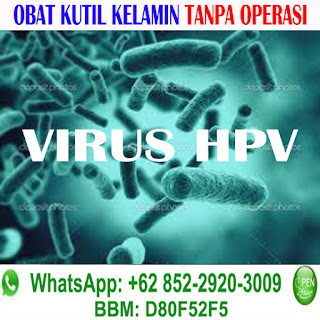 Obat Kutil Kelamin, TLP/LINE/WA: 085229203009, BBM: D80F52F5, Pengobatan Kutil Kelamin, Benjolan Bintik Bintil Daging Tumbuh Kutil Di Alat Kemaluan Kelamin, Obat Kutil Paling Ampuh, Obat Kutil, http://obat-kelamin.com/ Cara & Tips Menghilangkan Kutil Kelamin Paling Ampuh, Obat Kutil Kelamin Herbal, Obat Kutil Kelamin Tradisional, Obat Kutil Kelamin Alami, Obat Kutil Kelamin Pria Wanita (Penis, Vagina, Dubur Anus, Selangkangan Paha) Obat Kutil Kelamin Di Apotik Dokter, Obat Kutil Terbaik Terbukti Aman Tanpa Efek Samping Serta Terpercaya, Salep Krim Oles, 100% Terbukti, Terampuh Terbaik & Terpercaya, Ampuh, Manjur, Mujarab, Kumpulan obat kutil, pengobatan kutil kelamin, Pengobatan Kutil Kelamin Di Apotik/Dokter: miquimod podofilox podophyllin trichloroacetic acid bichloroacetic acid Condylox Fluorouracil interferon Krioterapi Elektrokauter Bedah Laser Operasi