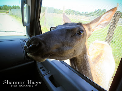 Shannon Hager Photography, Olympic Game Park