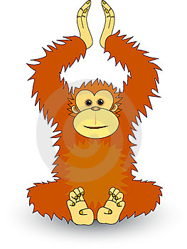 Gambar Foto Hewan gambar orangutan kartun 