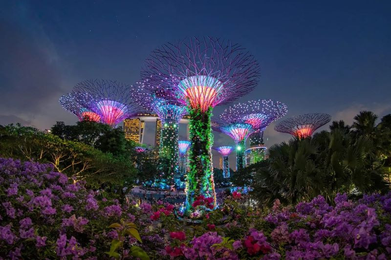 Gardens by the Bay Light Show 