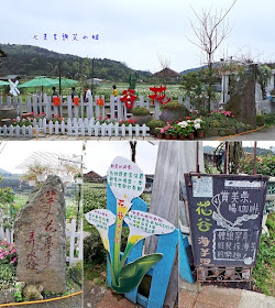 16 陽明山海芋節