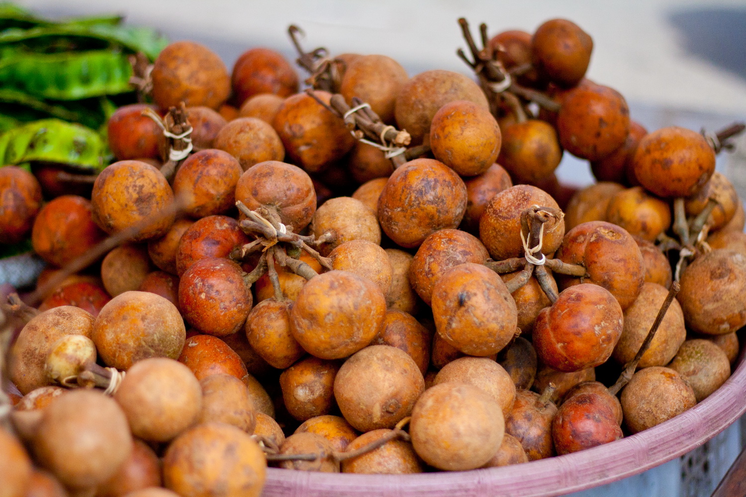  BUAH  TAMPUI buah hutan  khas riau Jendri Uno