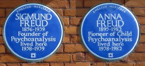 Freudian plaques