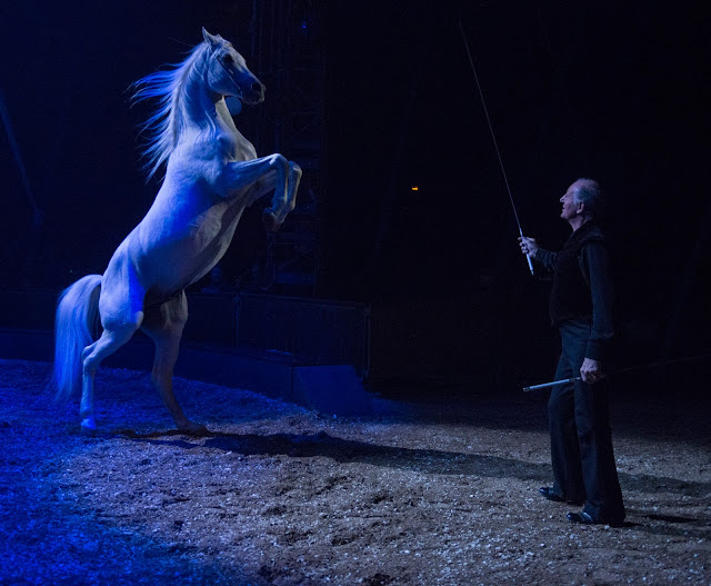 cirque alexis gruss Paris 16eme pegase icare spectacle chevaux ecuyer acrobates farfadais, photo jacques gavard