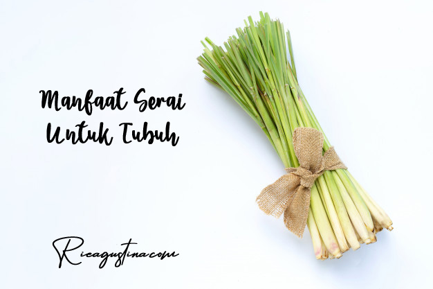 manfaat-serai-untuk-tubuh-rieagustina