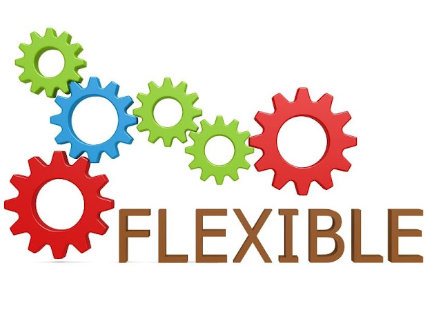 Flexibility and Programmability