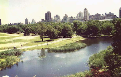 Central Park