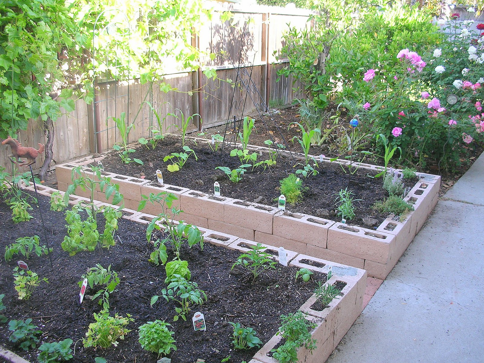 Kitchen Garden