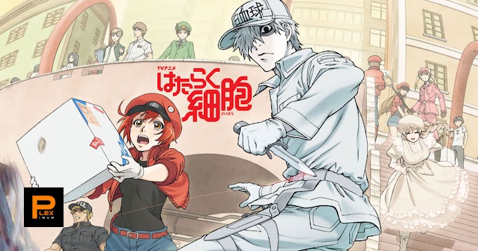 4 Alasan kenapa Kamu harus Menonton Anime Hataraku Saibou