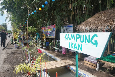 Sebuah Saluran Irigasi di Banyuwangi Dimanfaatkan Ternak Ikan