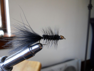 black woolly bugger, silver cone head.