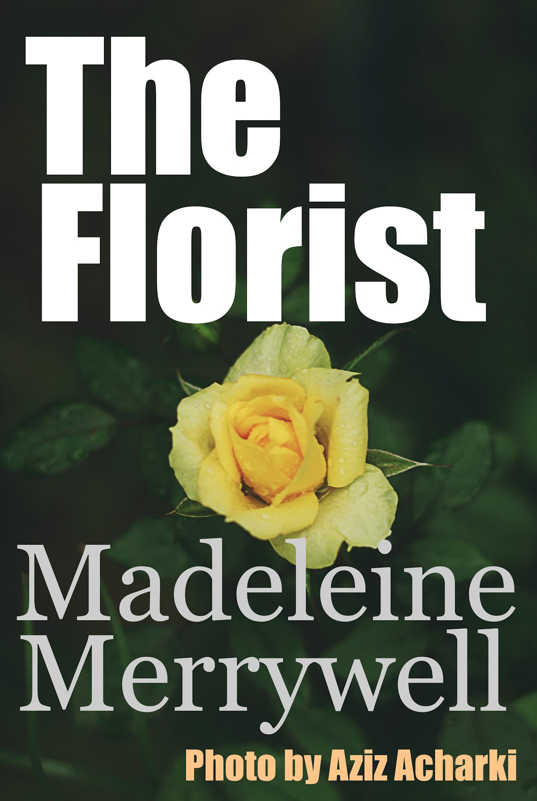 Madeleine Merrywell