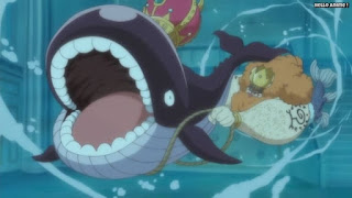 ワンピースアニメ 魚人島編 538話 ホエ | ONE PIECE Episode 538