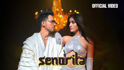 Senorita Lyrics - Tony Kakkar, Young Desi