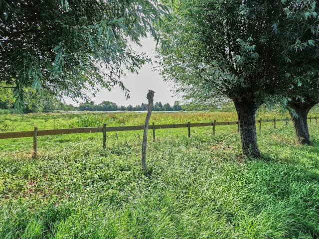 www.jetjesdag.nl | Nicolaas/S fotografie | Het groene hart van Zuid Holland |