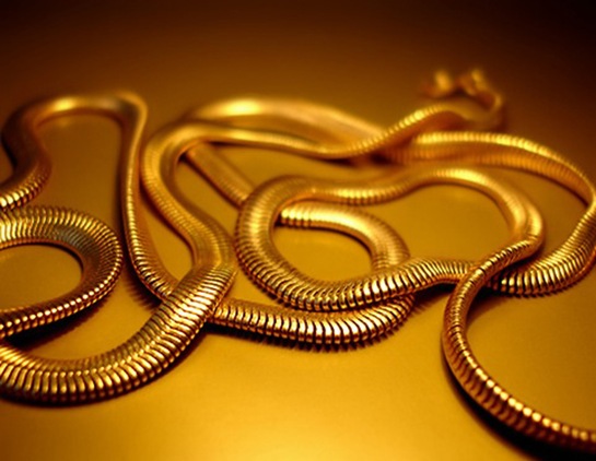 cobra