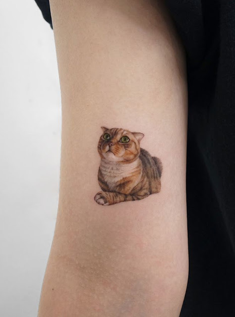 Tatuagens de cachorro e gato 