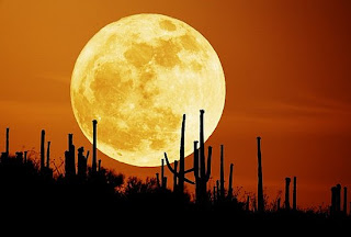 Supermoon Video, Supermoon Picture Photo