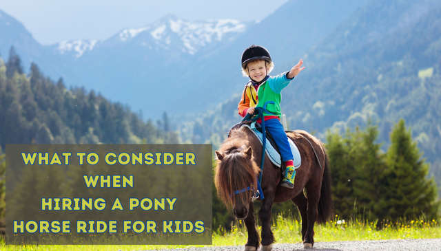 What to Consider When Hiring a Pony Horse Ride for Kids