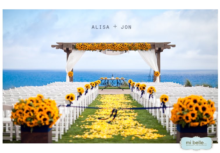 Thanks to mi belle photography for amazing images of Alisa Jon's wedding