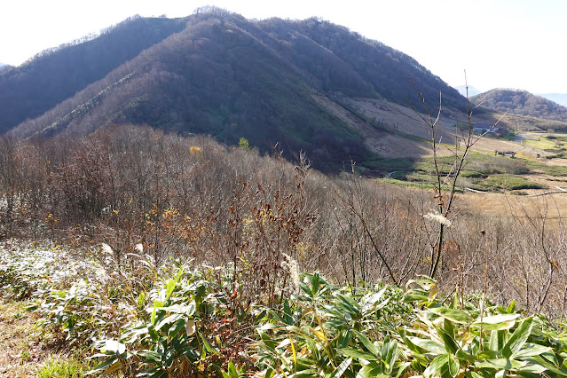 鳥取県倉吉市関金町野添 象山登山道からの眺望