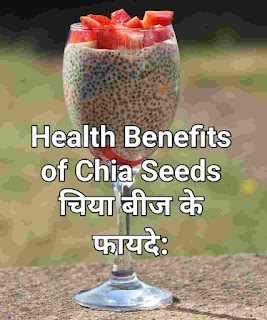 Chia seeds Health Benefits in hindi