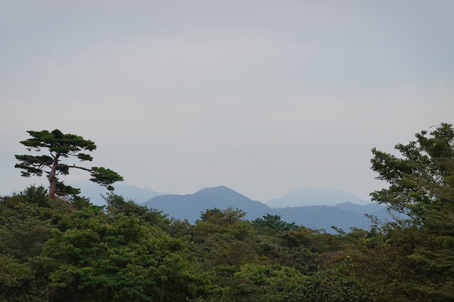 鳥取県西伯郡伯耆町小林　鳥取県道284号大山寺岸本線沿いの小路の風景