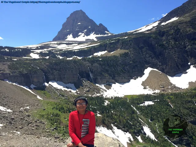 Paradise Meadow, Going-to-the-Sun Road, Glacier National Park, Montana, USA