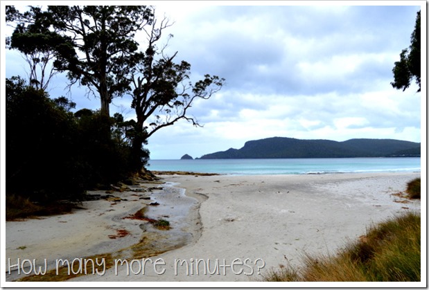 Bruny Island Berry Farm | How Many More Minutes?