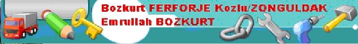 EMRULLAH BOZKURT