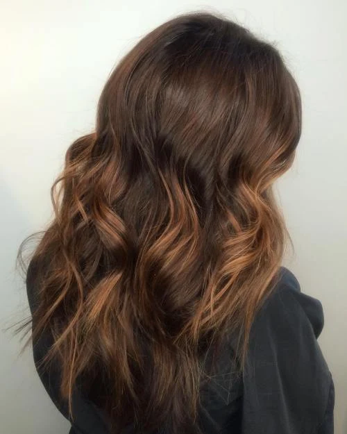 5-thick-chocolate-brown-hair-with-highlights