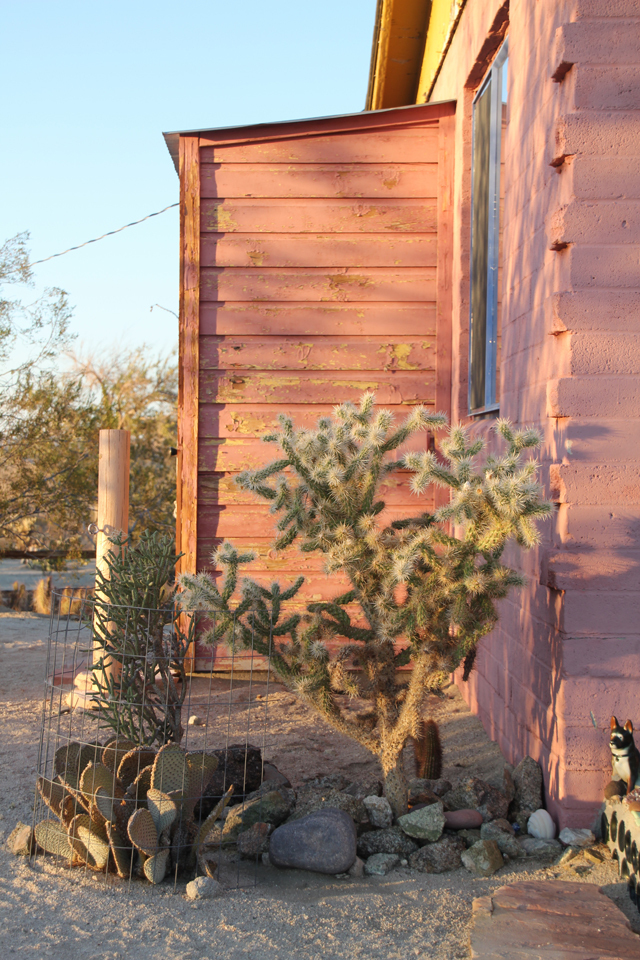 Joshua Tree Green Acres Ranch