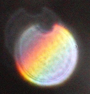 gradient color notched orb