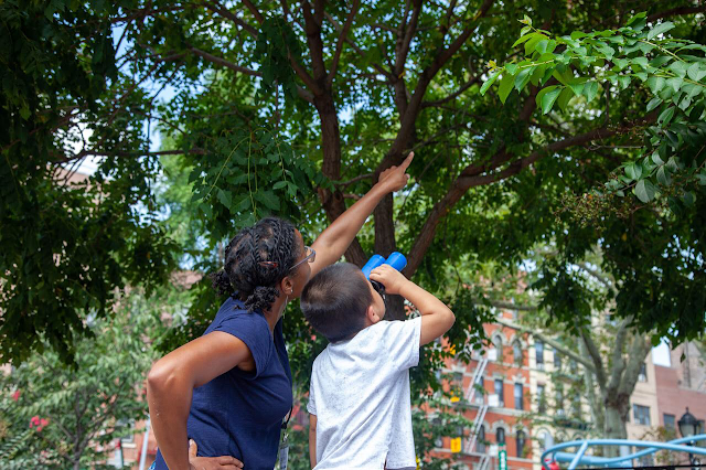 EXPLORE BIRDS, Sara D. Roosevelt Park, Chinatown