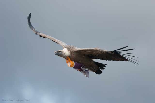 Hasta donde llega el plástico