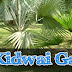 Kidwai Garden