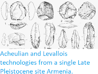 http://sciencythoughts.blogspot.co.uk/2014/10/acheulian-and-levallois-technologies.html