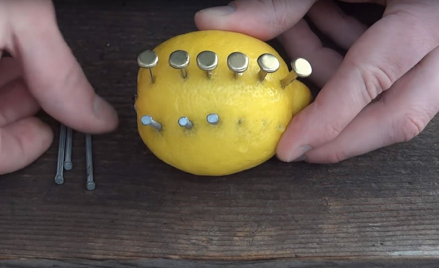 YouTuber Specialized In Survival Skills Teaches Us How To Start A Fire Using A Lemon