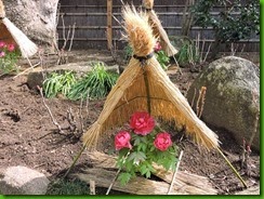 DSCN3718