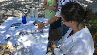 Jornada de pintura al aire libre