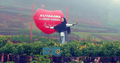 Lokasi Kutabawa Flower Garden Purbalingga