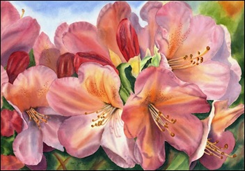 rhododendron-rhapsody