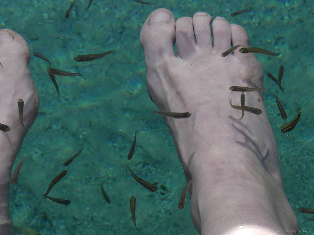 26: fish around feet