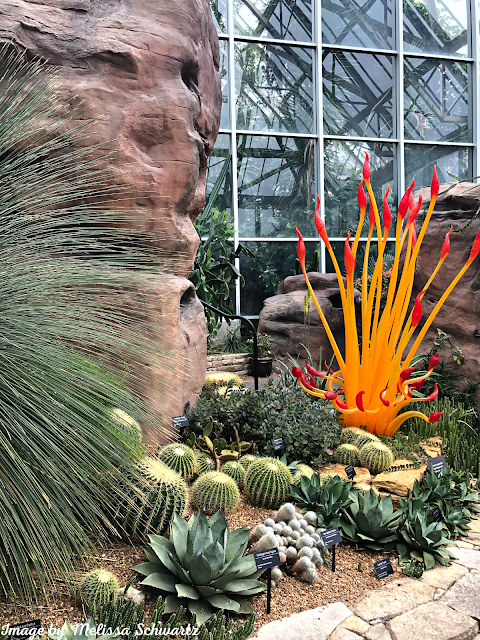 Chihuly blazes in the desert biome at Franklin Park Conservatory and Botanical Gardens!